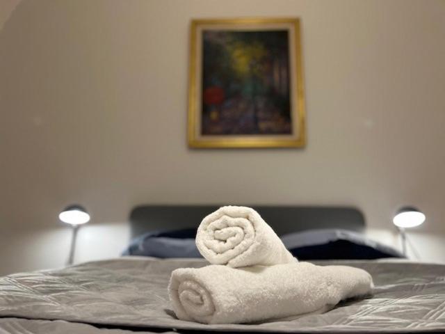 شقة Cosy Rent-Strasbourg Gare 1-Wifi المظهر الخارجي الصورة