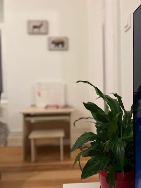 شقة Cosy Rent-Strasbourg Gare 1-Wifi المظهر الخارجي الصورة